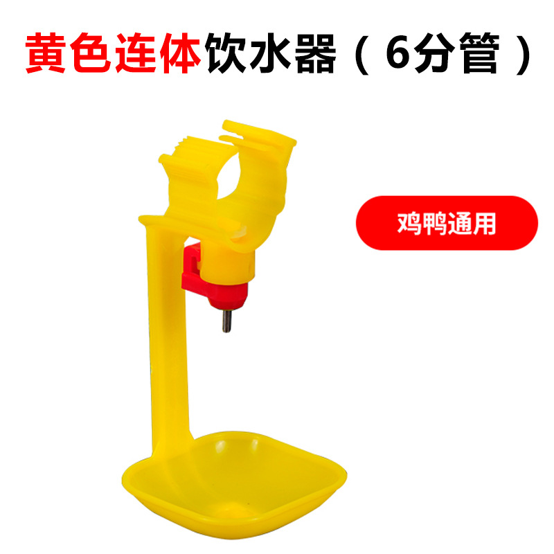 Fuente de consumición automática de la taza de la manguera de alimentación automática de la taza para el pollo