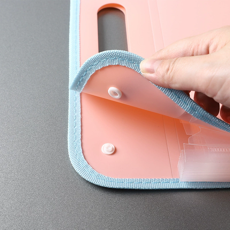Capacious storage bag for elementary school students for documents, handheld storage system, organ, 13 floors