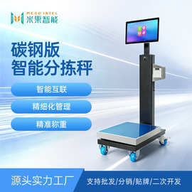 碳钢智能分拣秤生鲜分拣秤支持系统对接进销存AI分拣溯源秤订金
