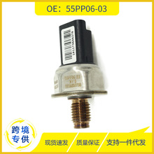 55PP06-03������ �m���ѩ�F������9655465480ȼ�͹�܉����������