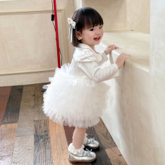女童2025秋季新款公主裙宝宝礼服白色花童蓬蓬纱蛋糕裙韩版连衣裙