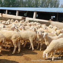 Сβ������ô�u�� �ź��s�������һ�� �Ų��d����������ĸ��