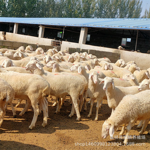 Сβ������ô�u�� �ź��s�������һ�� �Ų��d����������ĸ��