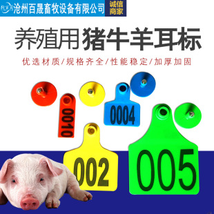 �iţ����˼��⎧�ֶ������Bֳ���ëF�ü��⎧�ֶ�����