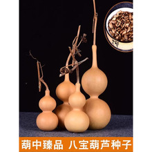 ����С���J�N���ļ����NС���J����С�����F������J�N������