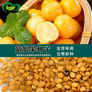 �S������N�� �r��ˈ@�����ļ�ˮ���������С�����ǷNֲ����