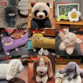 抱枕链接  看图片联系客服