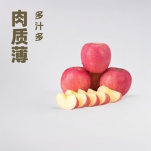 现货洛川秦脆苹果 80 #12枚，大量批发皮薄肉厚脆甜多现摘多汁