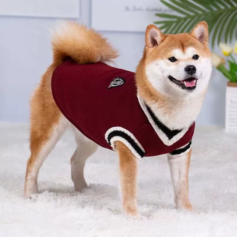 Собачья одежда осенняя и зимняя теплая шиба собака Теди Би Медведь Коджи