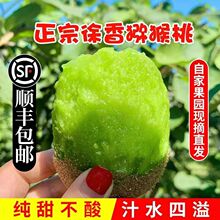 ���������������J���ҾG�������뚢ˮ����������