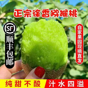 ���������������J���ҾG�������뚢ˮ����������