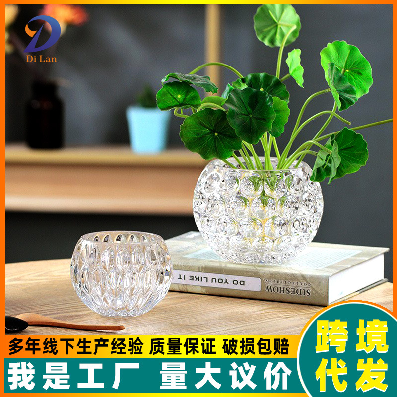 Factory direct transparent crystal ball glass vase succulent plant flowerpot hydroponic green dill copper money grass desktop ornaments