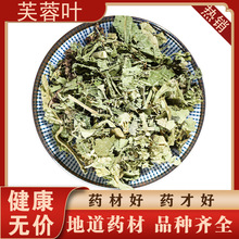 中药材批发芙蓉叶木芙蓉叶芙蓉叶量大从优加工超细粉