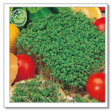 ~ˮ۲˷NӢMڂҌʳ߲҃ˮɳļ̨N