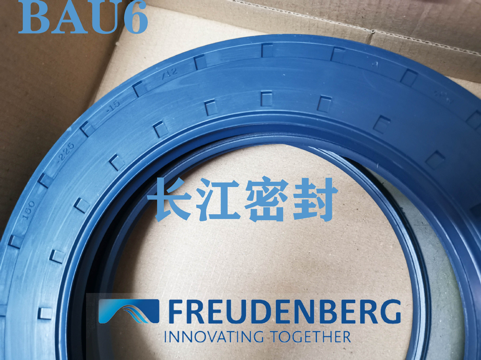 德国FREUDENBERG进口油封CFW BAU6 130-160-14/12 单唇丁腈橡胶