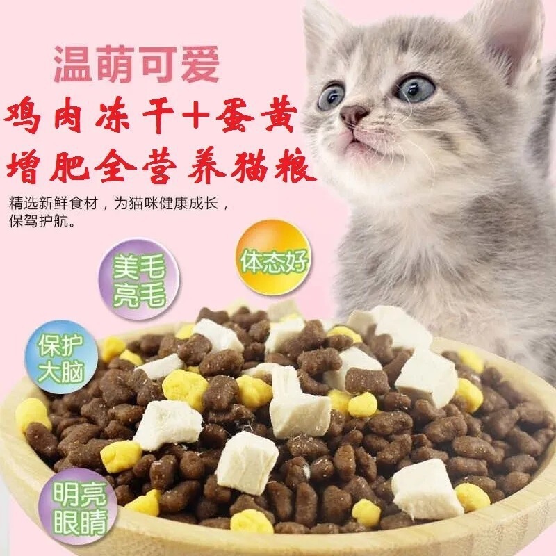 Wholesale Price Cat Food 25kg Packs, Specially Designed Rescue Cat Food for Stray Cats, Large Packaging for Adult Cats and Kittens, 5kg Packs Cat Food Wholesale Price Cat Food 25kg Packs, Specially Designed Rescue Cat Food for Stray Cats, Large Packaging for Adult Cats and Kittens, 5kg Packs Cat Food