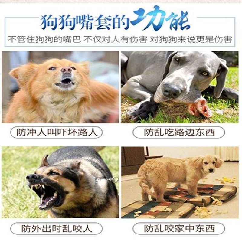 犬の口は犬のマスクの金毛のサモマの小さい中の大型の犬をかじってペットの犬の用品の口をむやみに食べます。|undefined