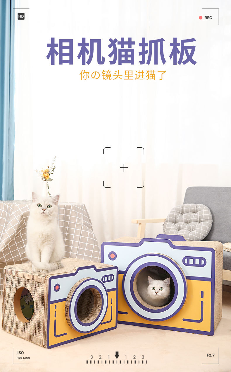 详情_01.jpg