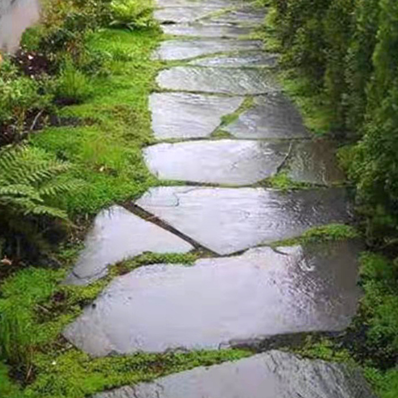 ʯƴ ëʯĻʯ̵ƴʯͥԺǽǽʯ