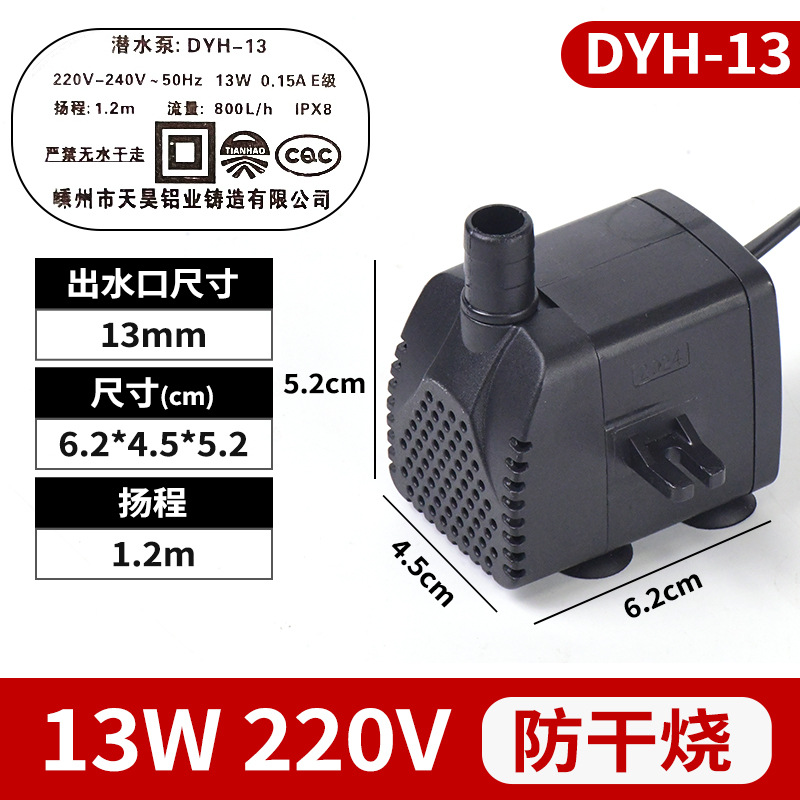 DYH-13.jpg
