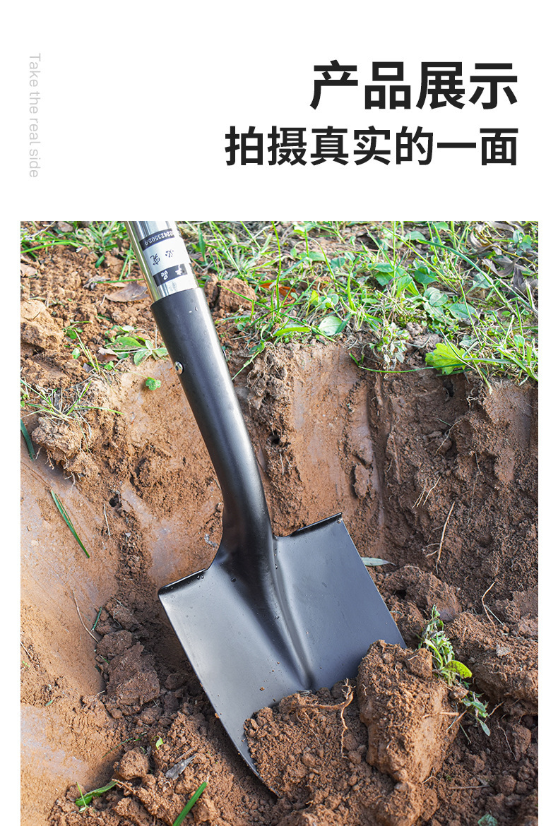 详情_12.jpg