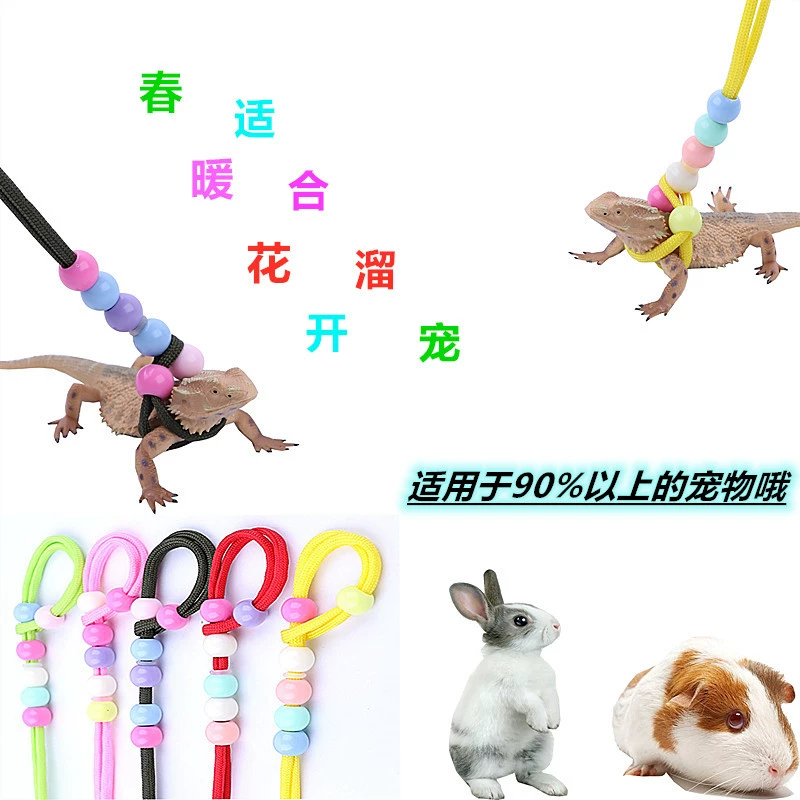 Голландская свинья тяга веревка ящерица тяга ползущая домашнее животное из груди Назад прогулочная ящерица веревка Тоторо хомяк белка Тяговая веревка