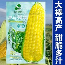 29̖ˮ׷Nļﲥׇrҳ׷N