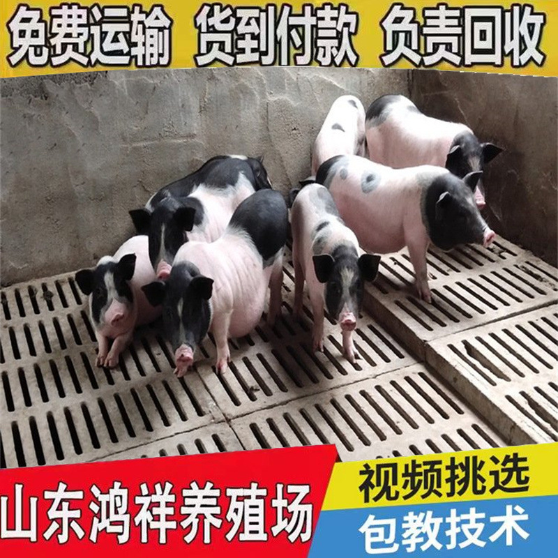 u=2016474462,792681162&amp