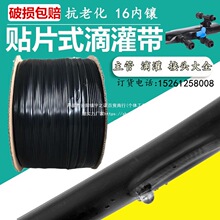 16mmNƬʽο׵ιp׃肵ι܎ĤµΎo׹߲˲ݮ