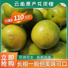 云南高原冰糖橙当季新鲜橙子花斑果褚橙产地手剥纯甜工厂批发