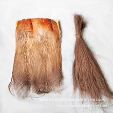 棕片棕树皮棕毛鬃蓑衣山棕榈丝茅屋顶鲈鱼繁殖水质过滤绿萝棒柱