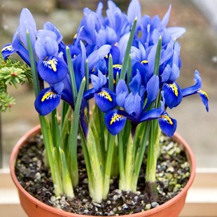 ��Ʒ���Sβ����ֲ�����Ե���ͥԺ�e�������������ݻ��ļ��_��