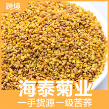 苦荞茶全株黄苦荞膨化大粒黑苦荞凉山全胚芽荞麦茶批发源头厂家