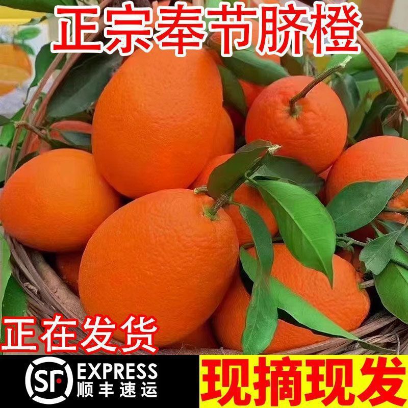 顺丰重庆奉节脐橙新鲜产地直发正宗纽荷尔橙子当季水果整箱