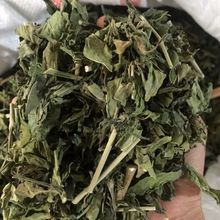 �n�ݲݲ�,ȫ�ݕ��,������,�n�ܲ�,������ָɽ