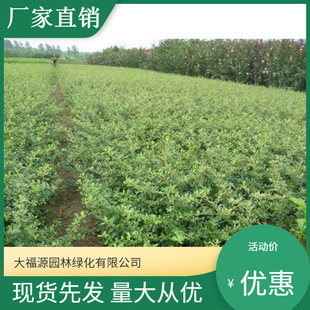 �������l ��  �𼬾G���� �r�񃞻� �����r�� Ҏ���Rȫ