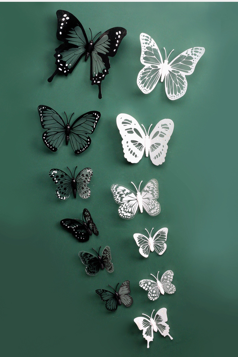 黑白蝴蝶详情_08.jpg