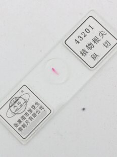 43201ֲ�����v���ЌW����Ҹ��˻�����Ƭ�TƬ��Ƭ�bƬ�Rȫ