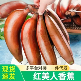 块茎类;其他水果;苹果