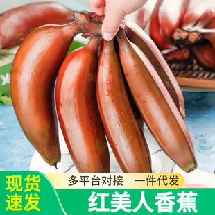 �t�����㽶5�ﮔ��ˮ���FժС�㽹���r�tƤ�Ž��׽����l������l
