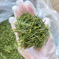 安吉白茶精品白茶代发专区茶叶自己喝厂家直销一件代发核心产区
