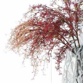 国风仿真植物星星草 婚庆假花迷雾松树雾凇草 婚庆自然系柳条枝态