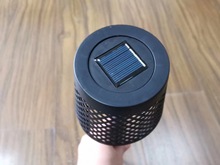����ѷ���� ��԰���۲�ƺ�������ƻ����̫���ܲ�صƳ���