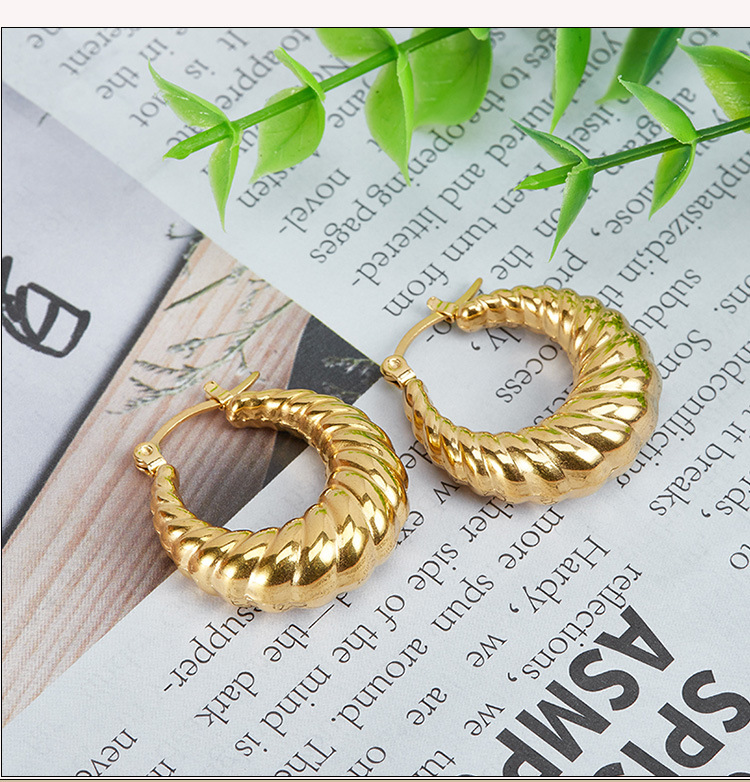 1 Pair Fashion Stripe Solid Color Stainless Steel Plating Earrings display picture 1