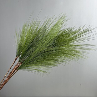 ɭϵ���滨��횲ݻ�c���þGɫϵ�J���ݷ���Gֲ�����ɘ�֦�Rβ��