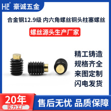 12.9���~�^�C����~�~�^픽z�z�^�����C�׾��_�ݽzM3M4M5M6M8-M12