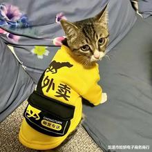 宠物猫咪衣服春夏季外卖服饰搞怪恶搞蓝幼猫狗狗小型犬抖音搞笑装