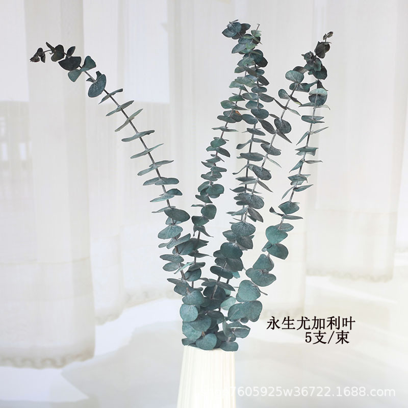 Flor seca Flor eterna Gypsophila Bola de oro No me olvides Flor seca Rosa hoja de eucalipto Pine Fruit Lover Grass al por mayor