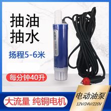 柴油电动抽油泵220V12V24V伏潜水泵直流油泵柴油泵加油机加油枪