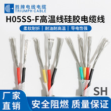 ֱN W˹zo׾H05SS-F ͸ߜԴ͏ܛ|